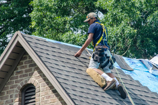 Trusted Creighton, NE Roofing Contractor Experts